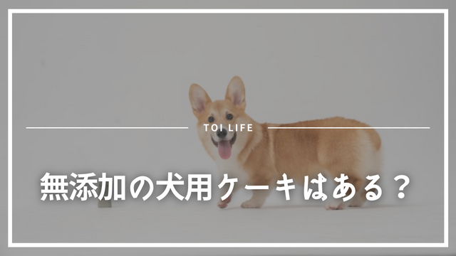 犬用の無添加のケーキ